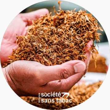 Des mains contenant du tabac